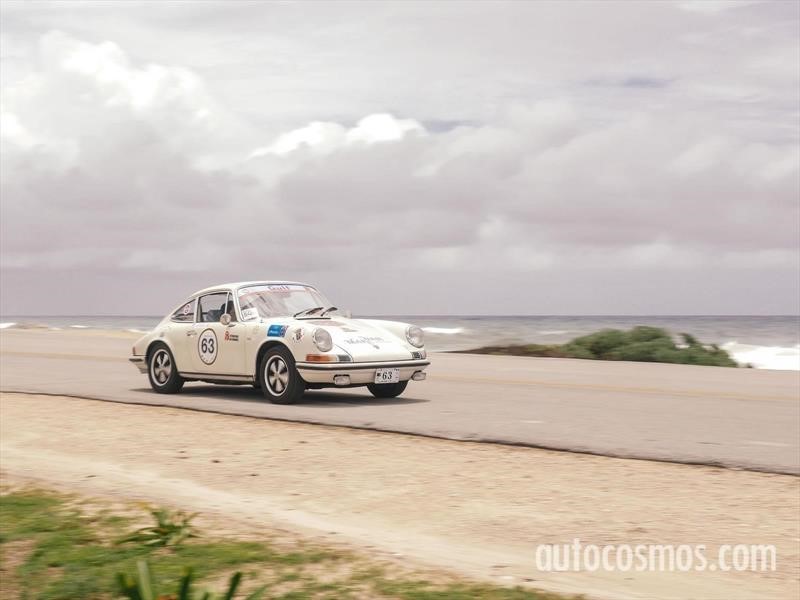 Rally Maya 2018
