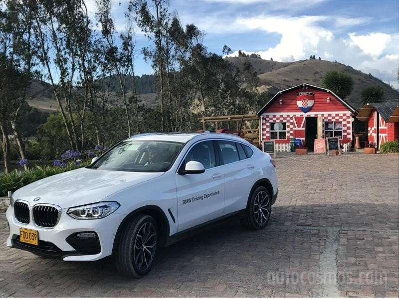 BMW X4 2019