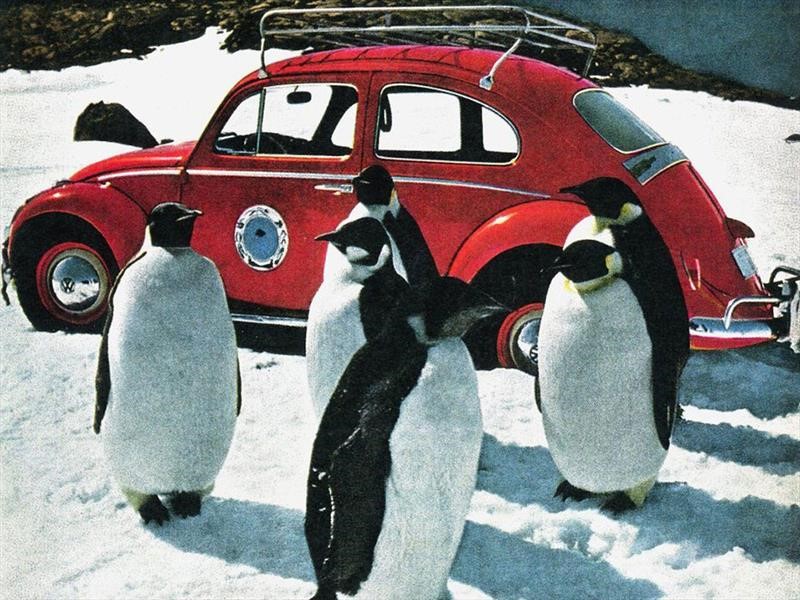 VW Escarabajo: el primer auto de la Antártida