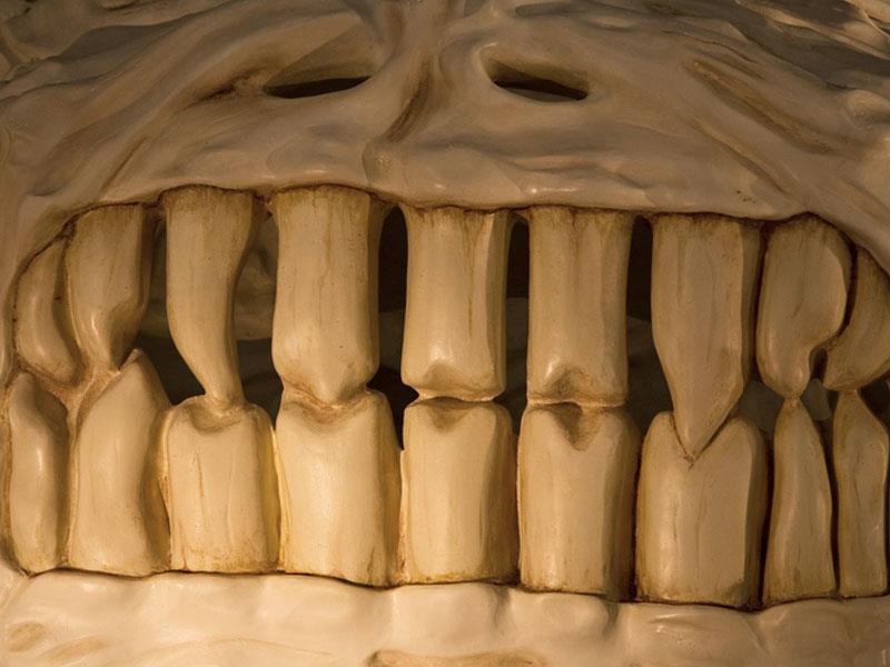 Camiones de esqueleto