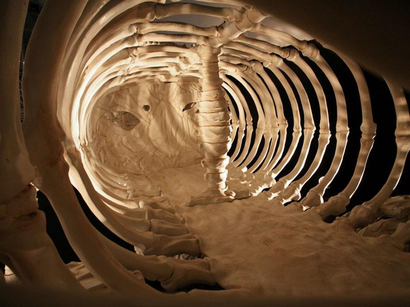 Camiones de esqueleto