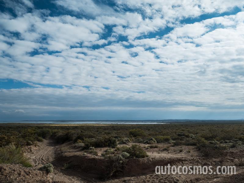 Desafío Ruta 40 junto a Toyota