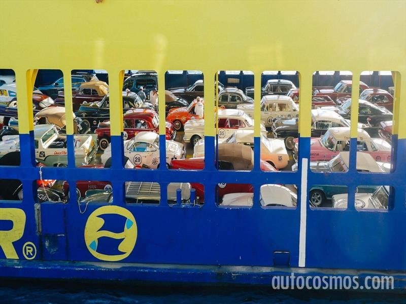 Rally Maya 2018