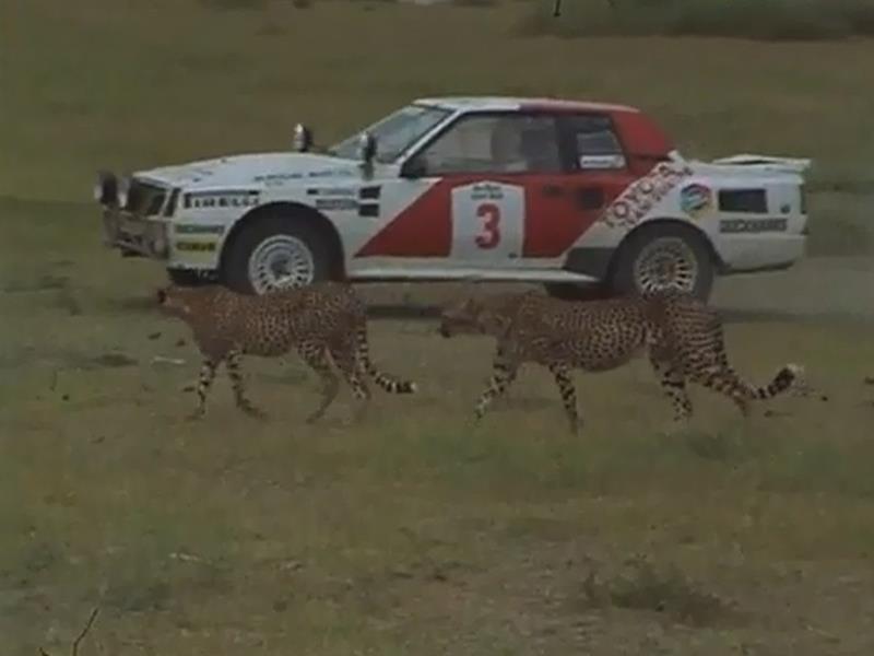 Rally Safari (África)