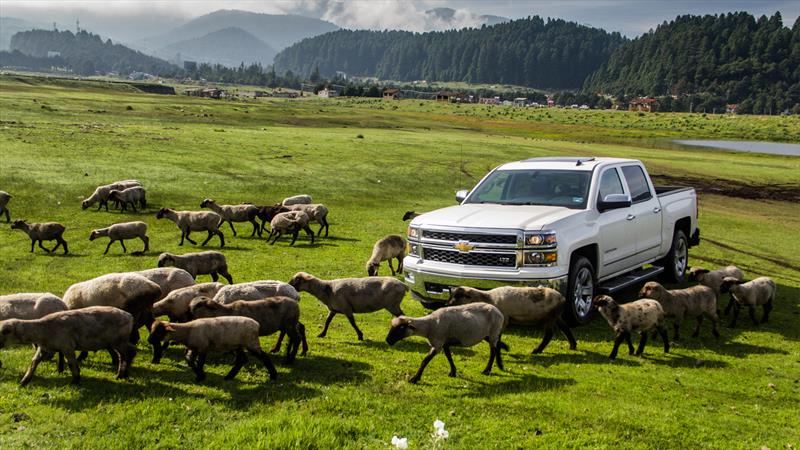 Chevrolet Cheyenne 2014