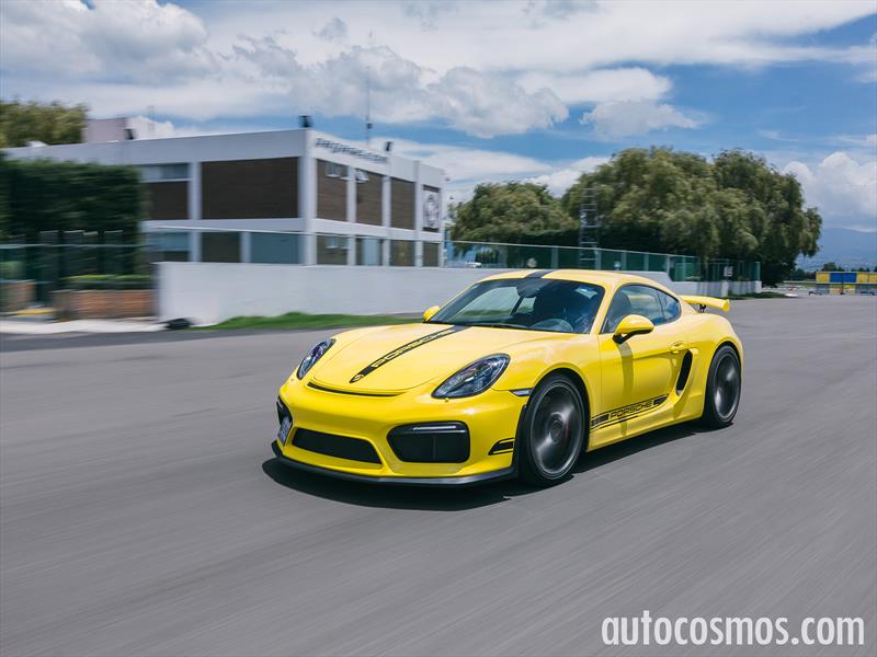Porsche Cayman GT4 2015