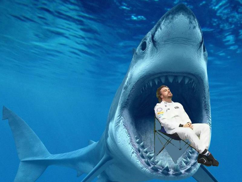 Memes de Fernado Alonso en el GP de Brasil 2015