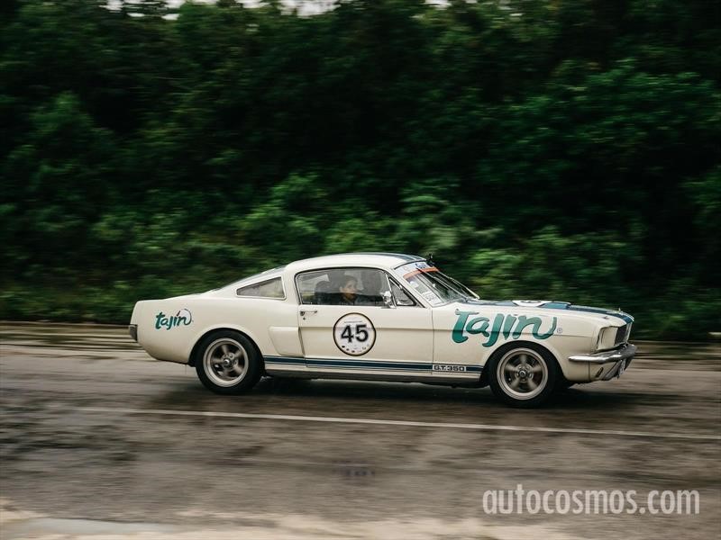 Rally Maya 2018