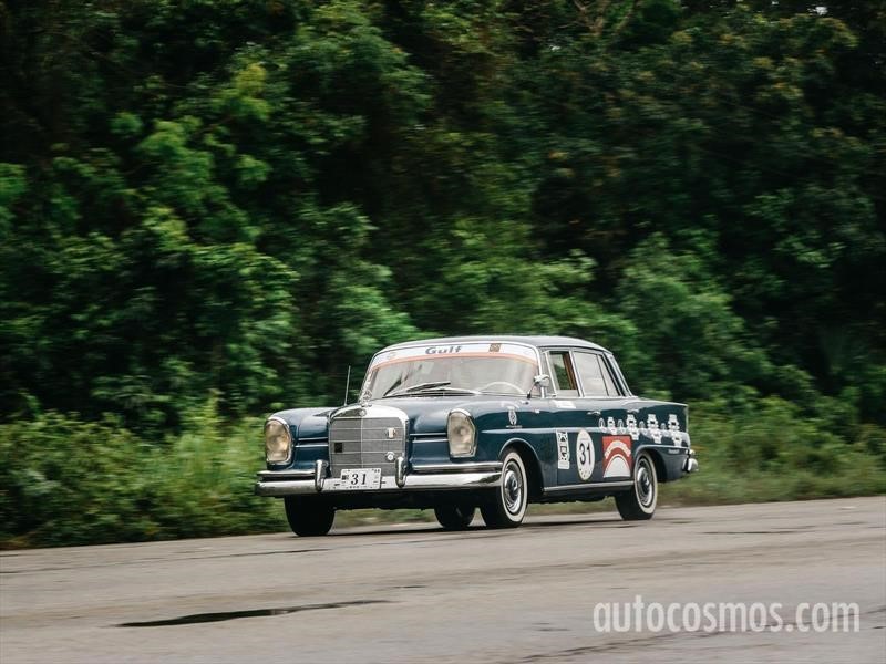Rally Maya 2018