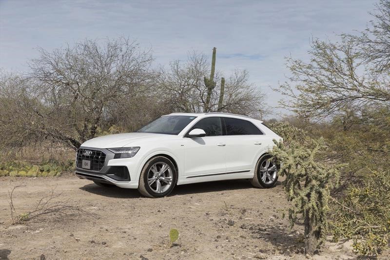 Audi Q8 2019