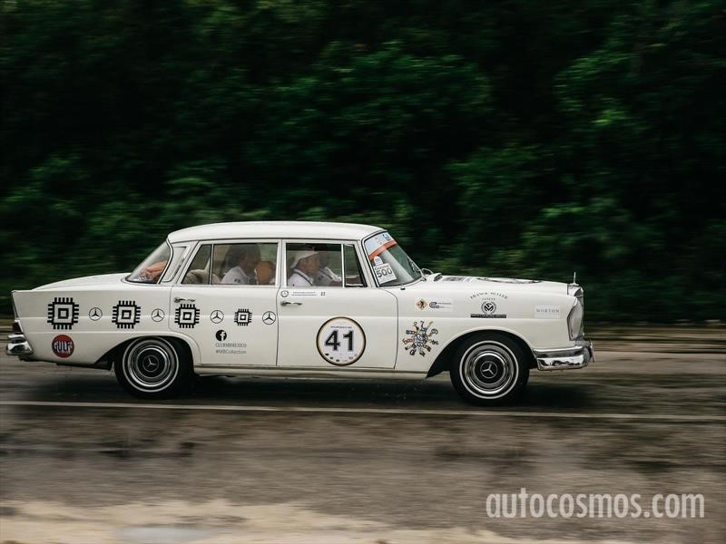 Rally Maya 2018