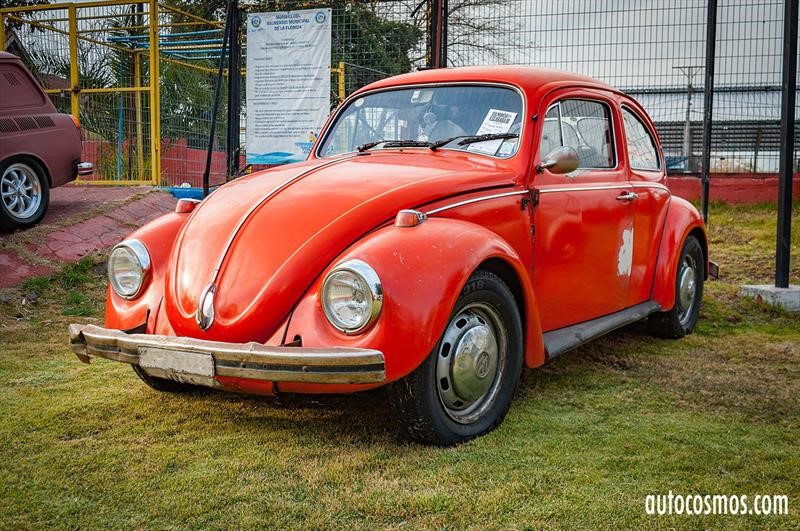 Dia del Escarabajo 2018