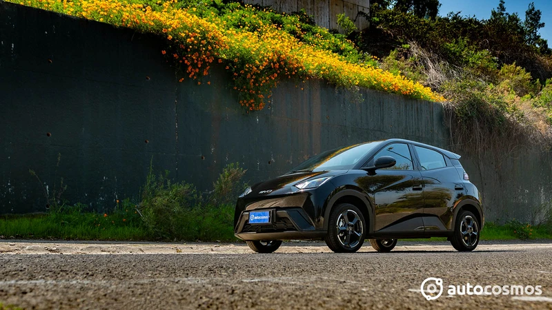 BYD Dolphin Mini - Test Drive