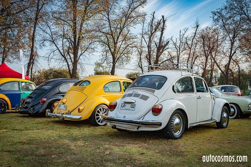 Dia del Escarabajo 2018