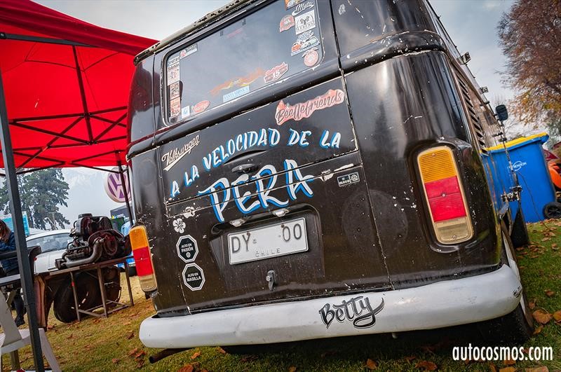 Dia del Escarabajo 2018