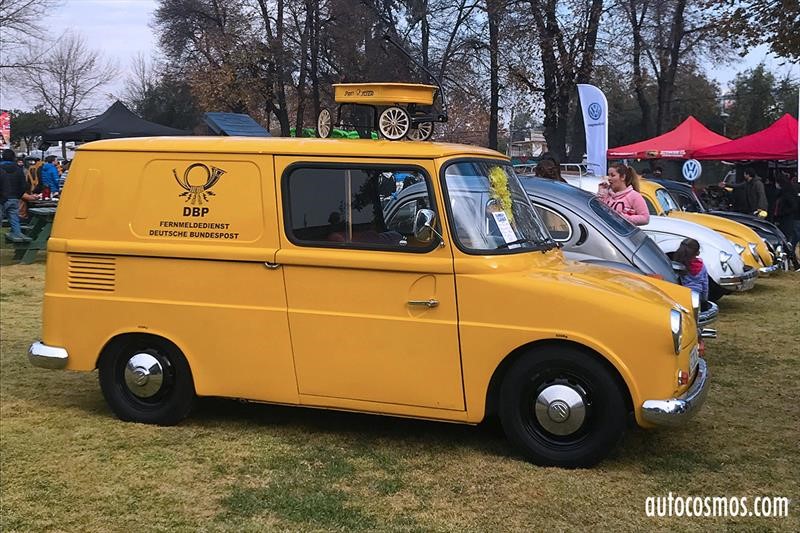 Dia del Escarabajo 2018