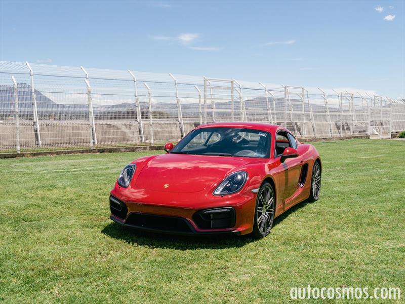 Porsche Cayman GTS 2015
