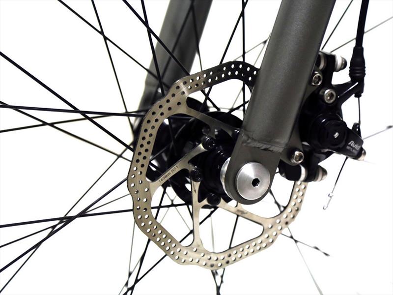 Bicicleta eléctrica Icon