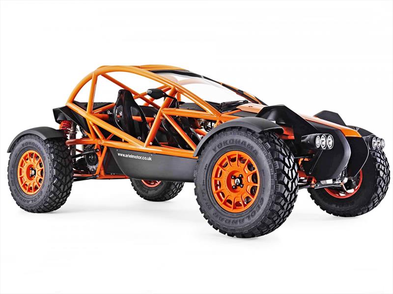 Ariel Nomad