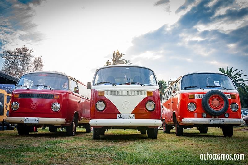 Dia del Escarabajo 2018