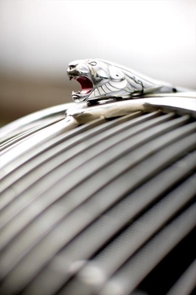 Historia del logotipo de Peugeot