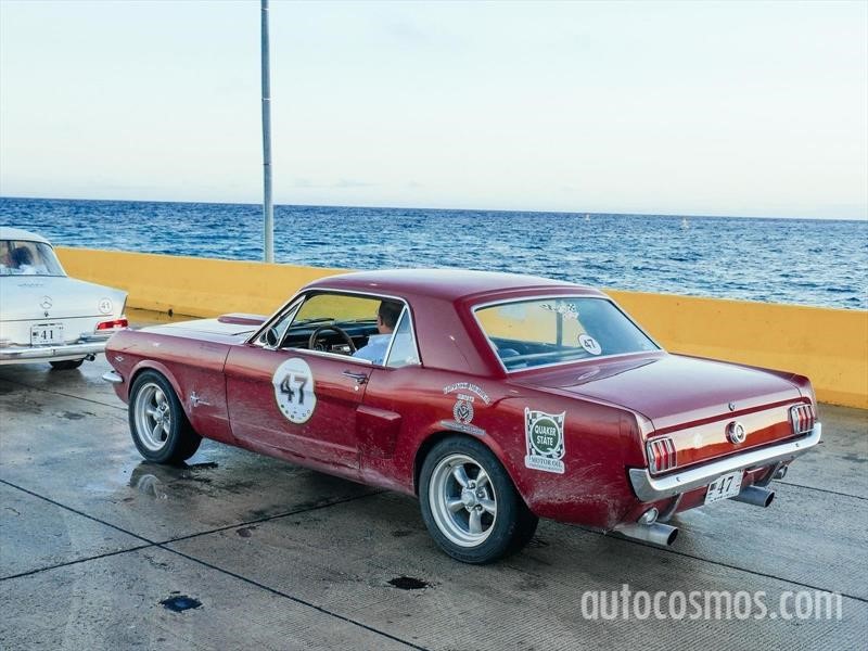 Rally Maya 2018