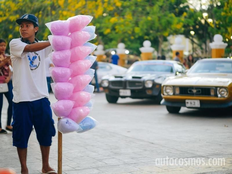 Rally Maya 2018