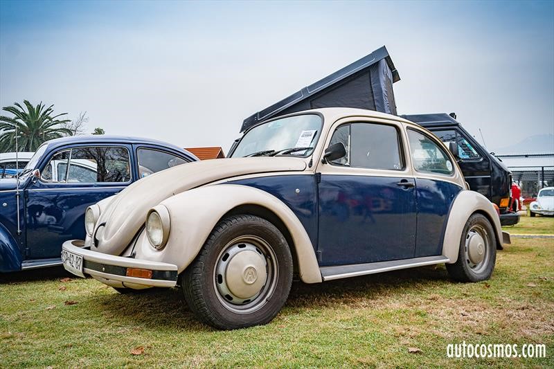 Dia del Escarabajo 2018