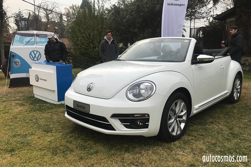 Dia del Escarabajo 2018