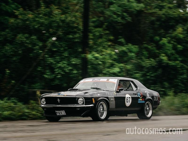 Rally Maya 2018