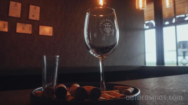 Mazda MX-5 vs Mazda MX-5 RF