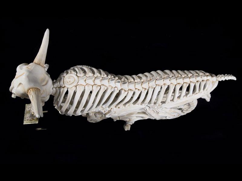 Camiones de esqueleto