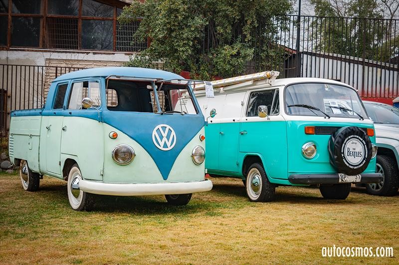 Dia del Escarabajo 2018