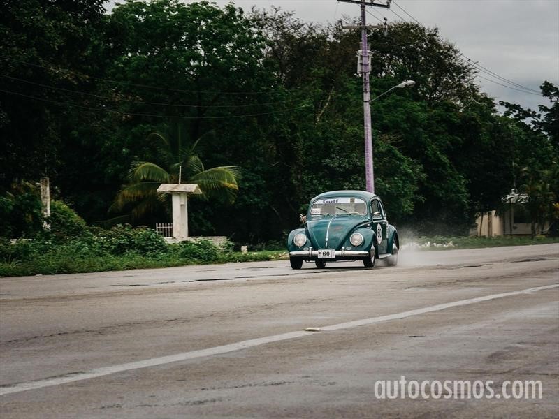 Rally Maya 2018