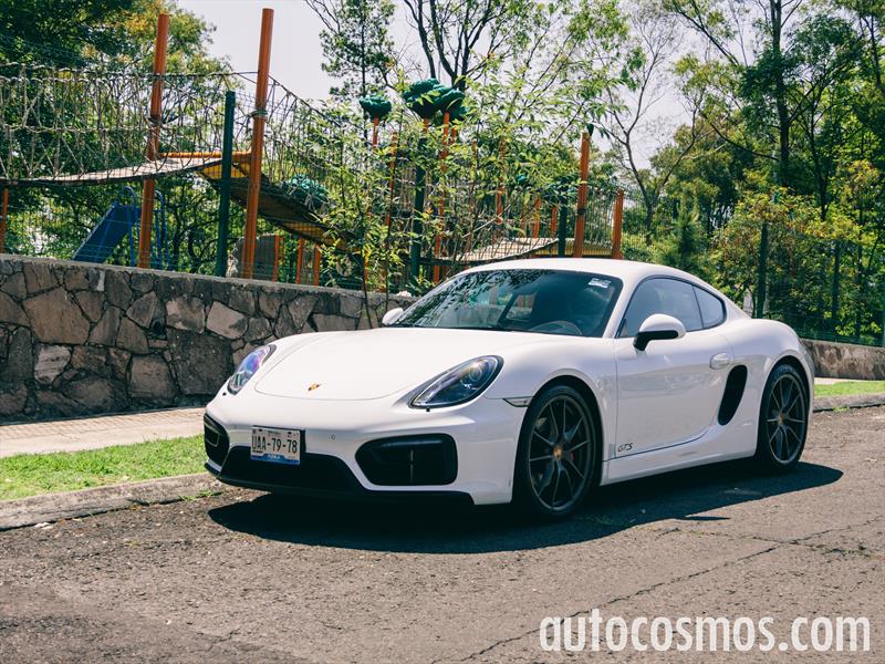 Porsche Cayman GTS 2015