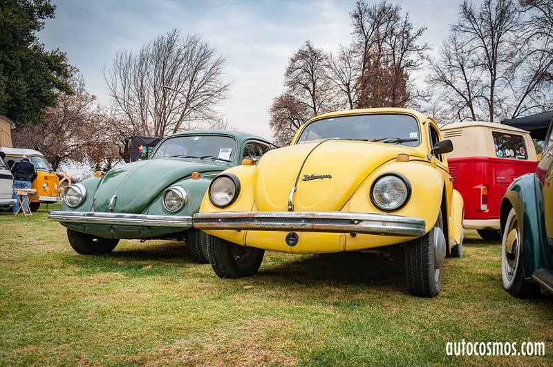 Dia del Escarabajo 2018