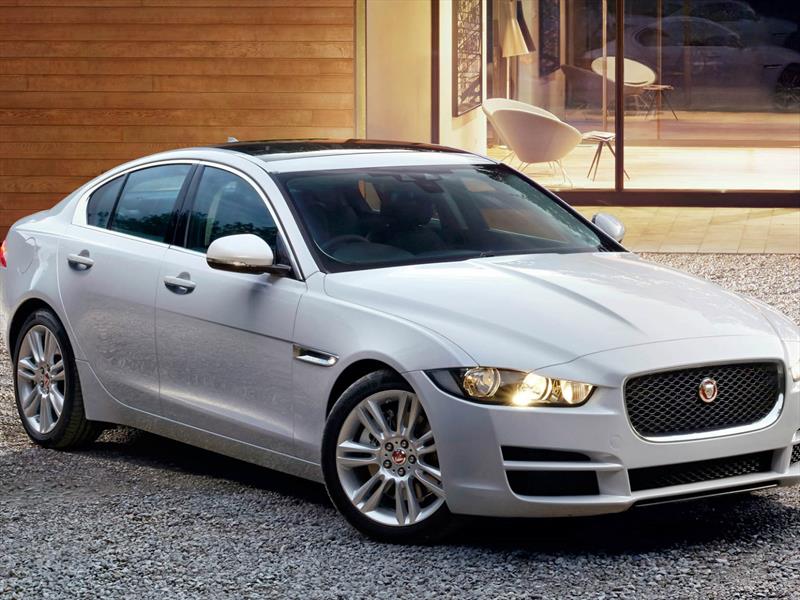 Jaguar en Colombia