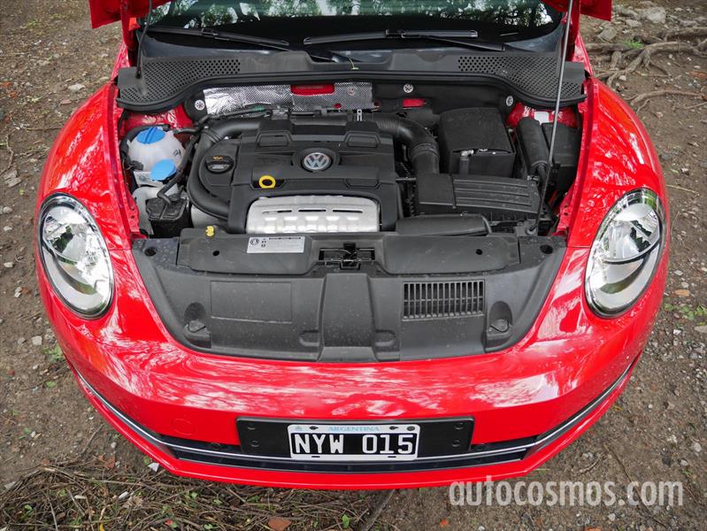 Volkswagen The Beetle a prueba