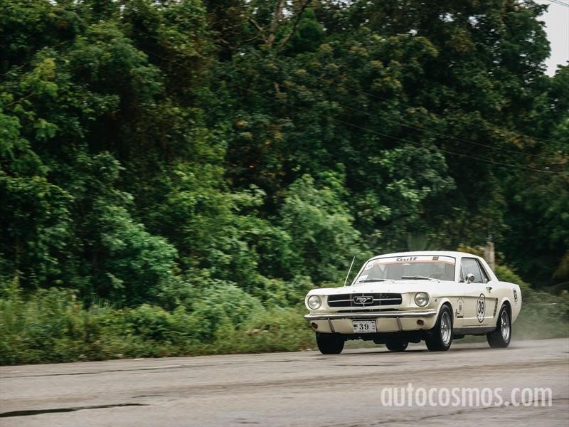 Rally Maya 2018