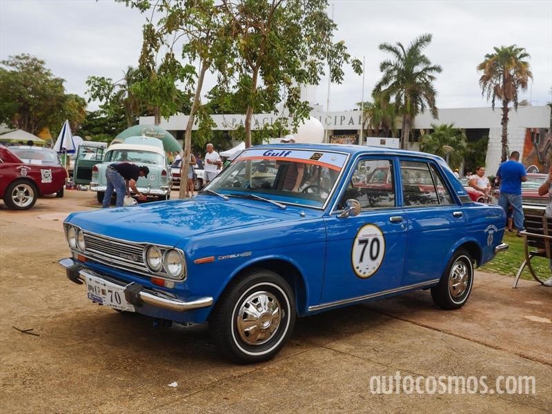 Rally Maya 2018