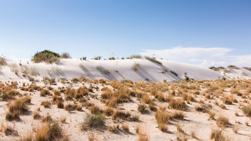 Ruta a Pikes Peak 2013: Día 7
