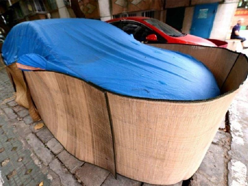 Conductores protegen a sus autos de las ratas