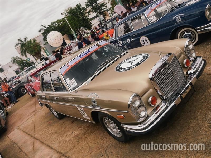 Rally Maya 2018