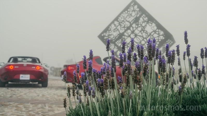 Mazda MX-5 vs Mazda MX-5 RF