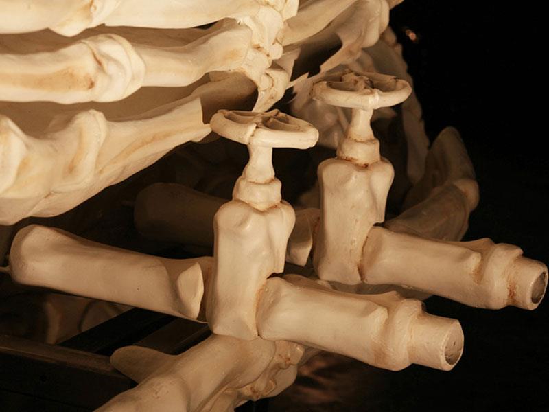 Camiones de esqueleto