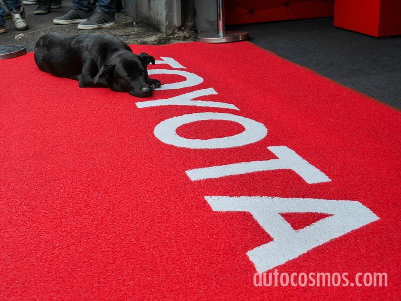 STC2000 en el Gálvez