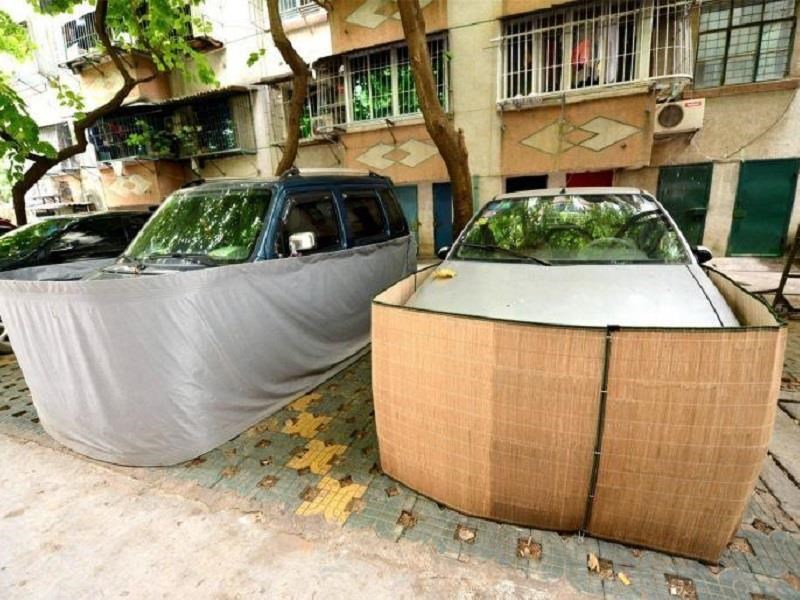 Conductores protegen a sus autos de las ratas