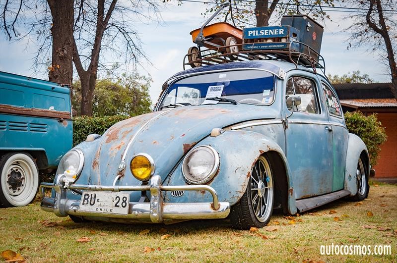 Dia del Escarabajo 2018