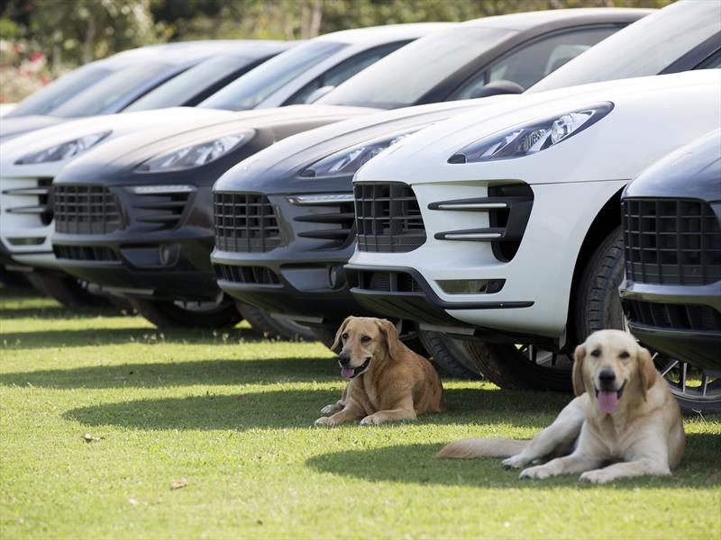Porsche Macan 2015