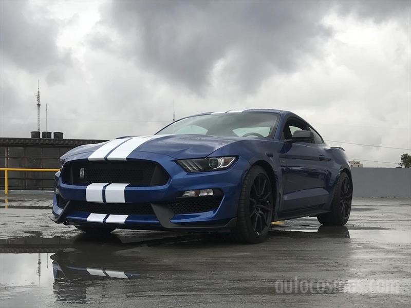 Mustang Shelby GT 350 2019